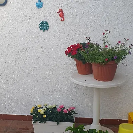 Piccola Casa Santa Caterina